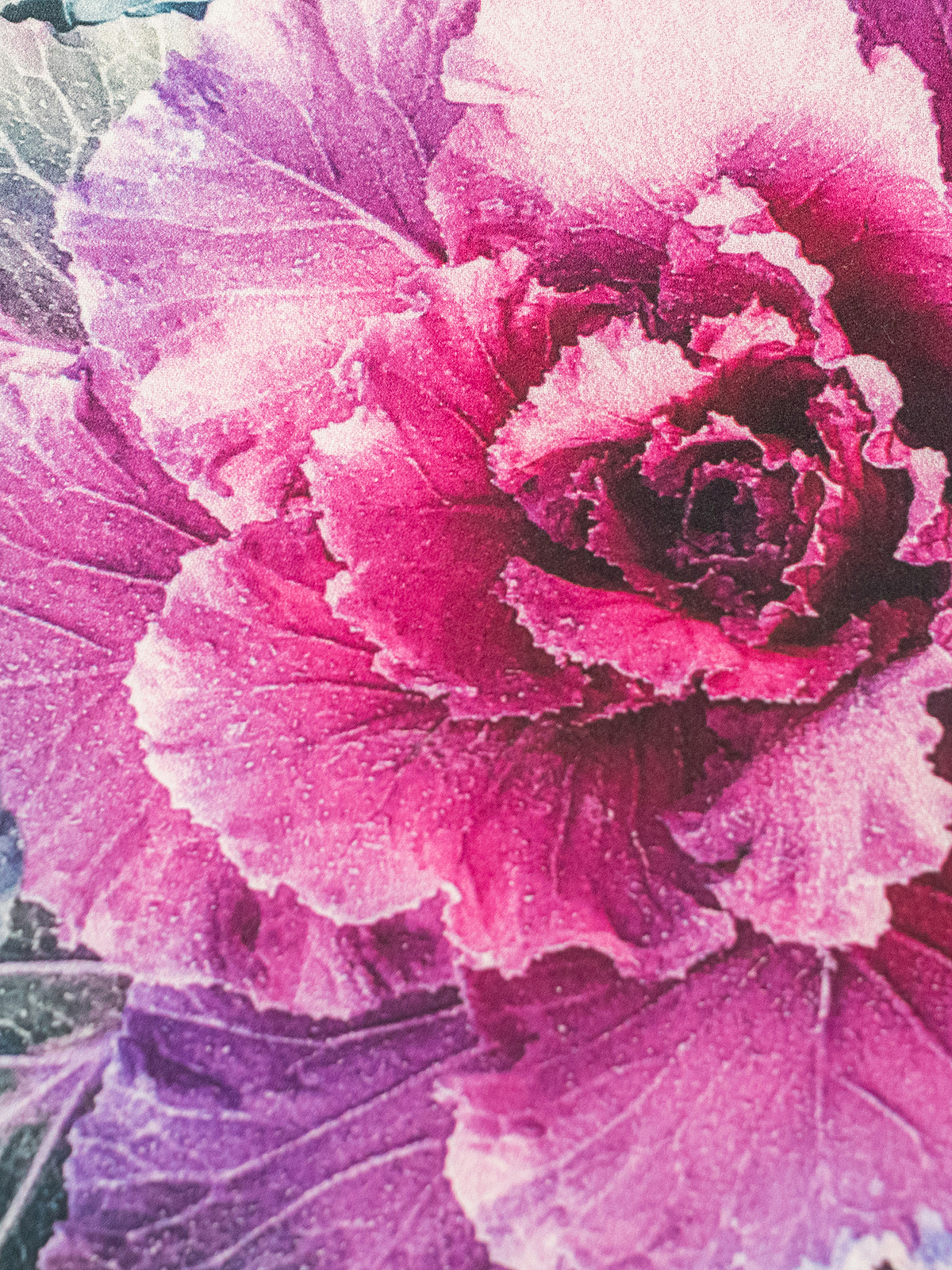 Постельное белье ЕВРО МИРТЕК  ПИОНЫ 200х220-1шт 240х260-1шт 50х70-2шт 100%хлопок голубой_Каталог-v2_MIRTECK